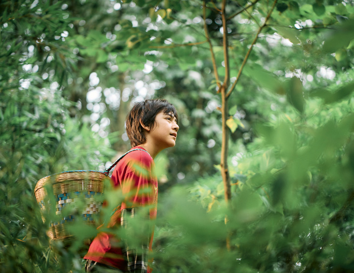 Junge im Wald