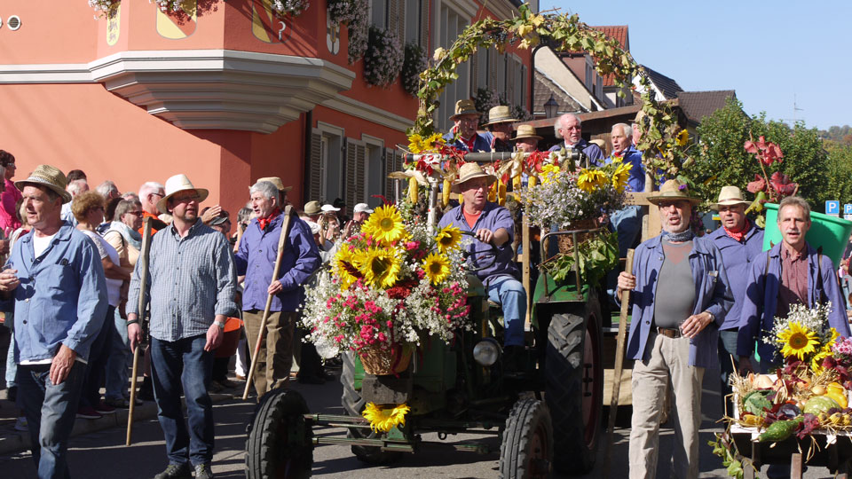 geschmückter Traktor beim Herbstausklang