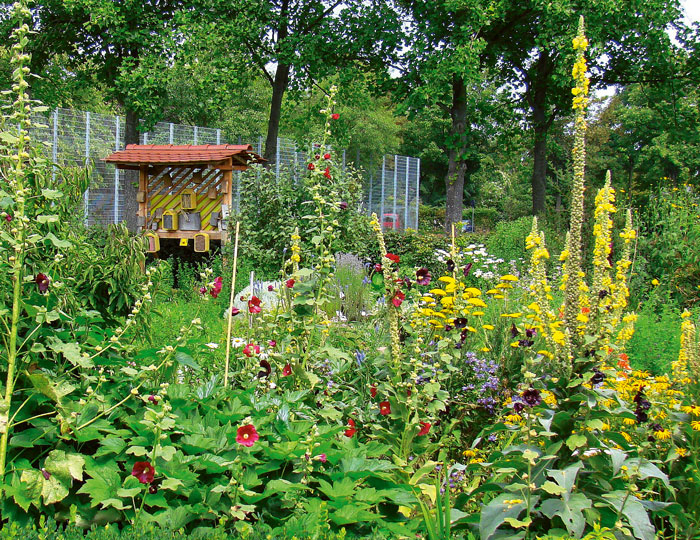 Ein Bild von einem Garten mit einem Wildbienen Haus.