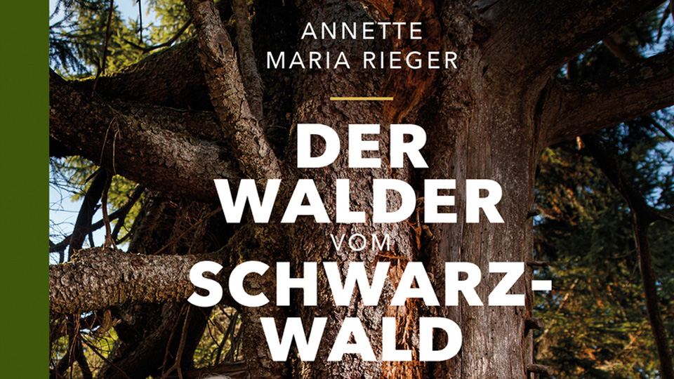 Buchcover: Der Walder vom Schwarzwald
