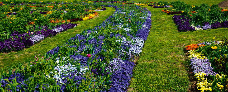 Bunte Blumenwiese: Landesgartenschau in Neuenburg