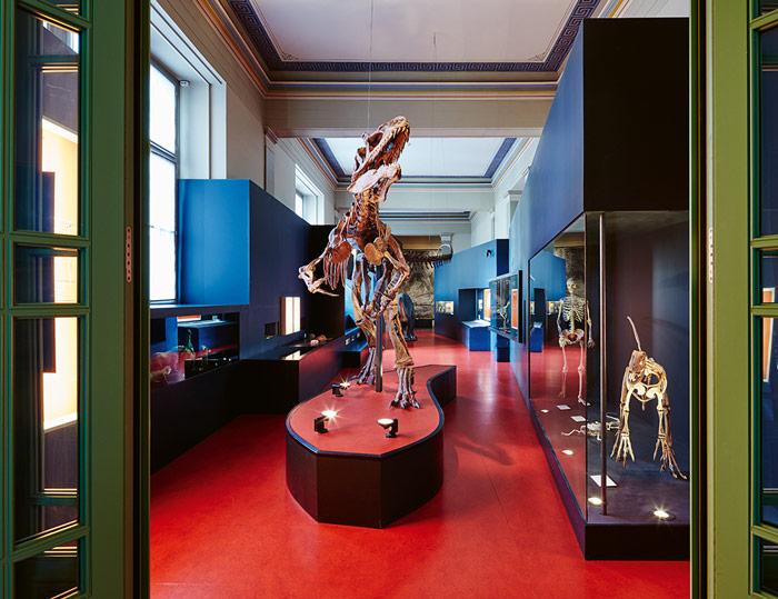 Ausstellung Dino