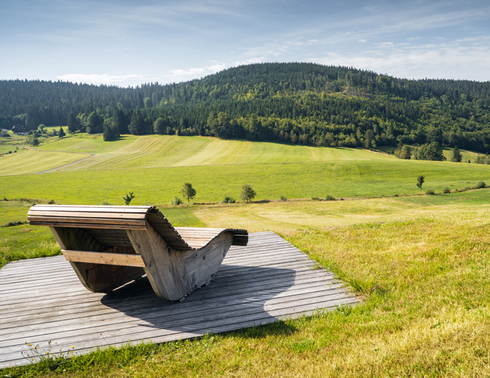 Himmelsliege in mitten des Schwarzwaldes