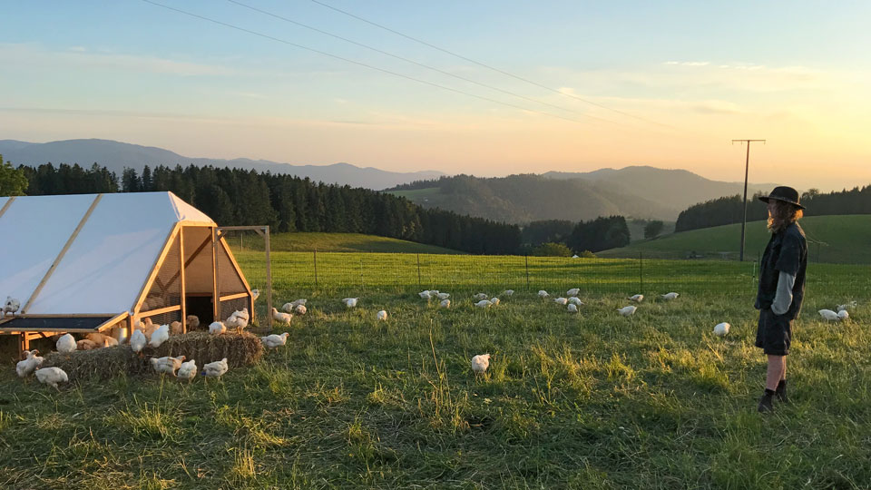 mobile Tierhaltung von Isabell Blattmann und Timothy Taylor