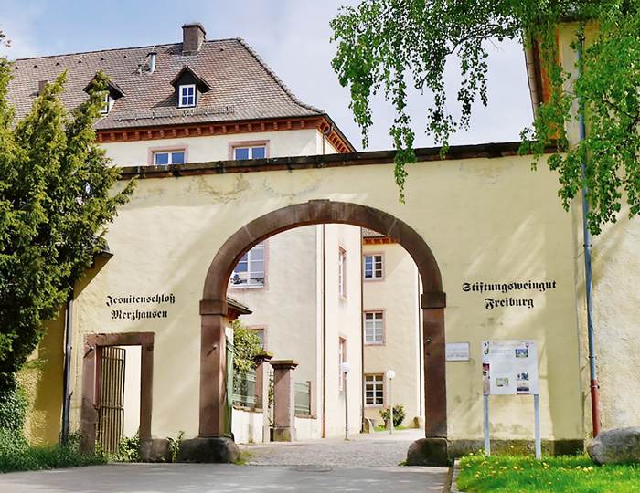 Natur pur überm Ortskern: ­Streuobstwiesen und Weinberge
um das Jesuitenschloss. 