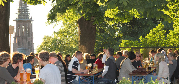 Kastaniengarten in Freiburg mit Blick auf das Münster