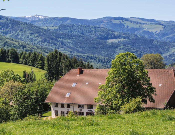 Der Hannissenhof 