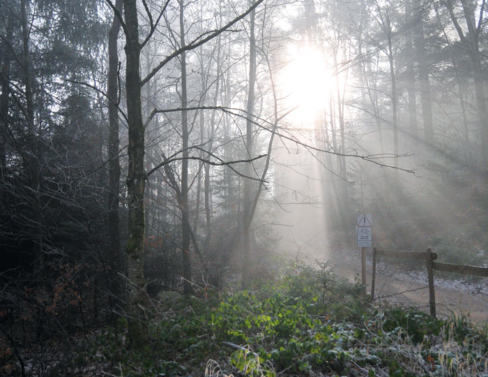 Nebel auf dem Weg vom Kybfelsen