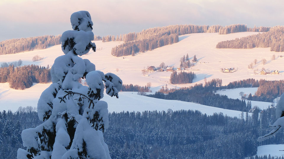 Winterwanderung