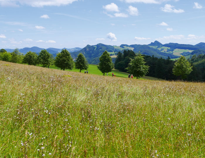 Aussicht Richtung Berglandschaft