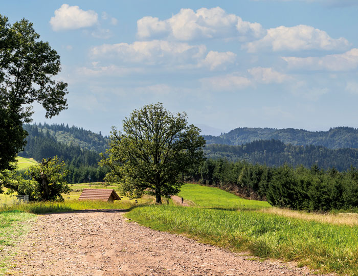 Panorama Aussicht an der Tafel