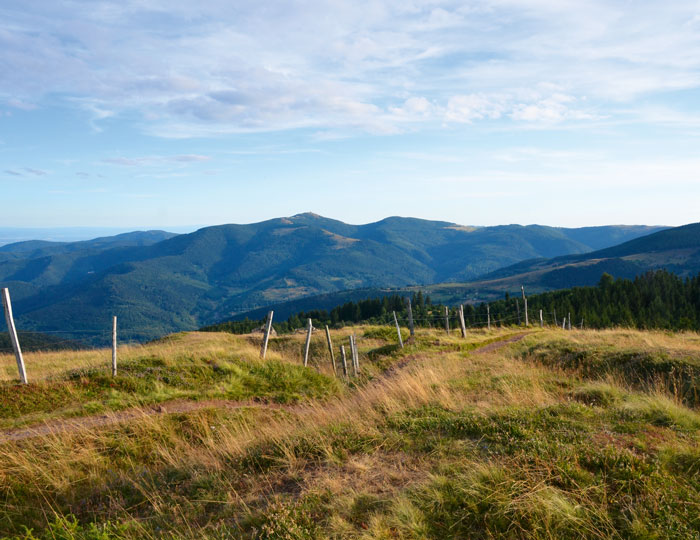 Panorama Schwarzwald