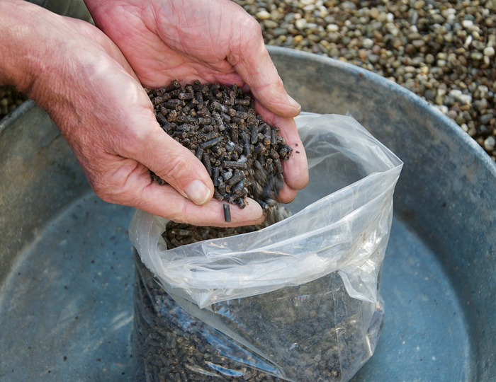 Ein Nährstoffkick
mit pelletiertem ­Rinderdung sorgt für kräftiges Pflanzen­wachstum. 