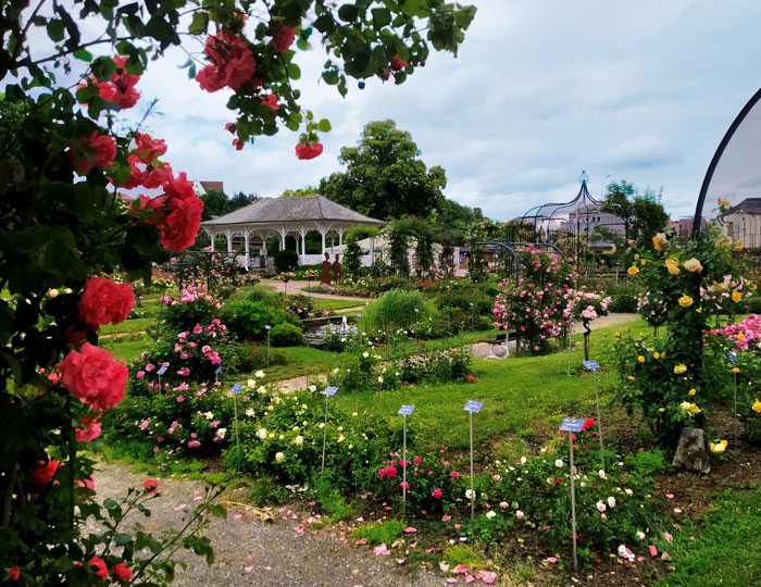 Rosengarten mit Pavillon