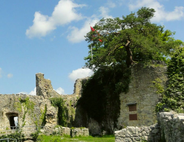 Ruine Dorneck