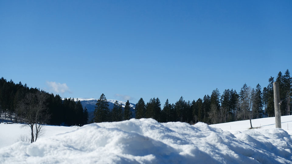 Feldbergblick