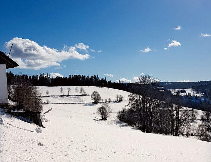 Landschaft im Schnee