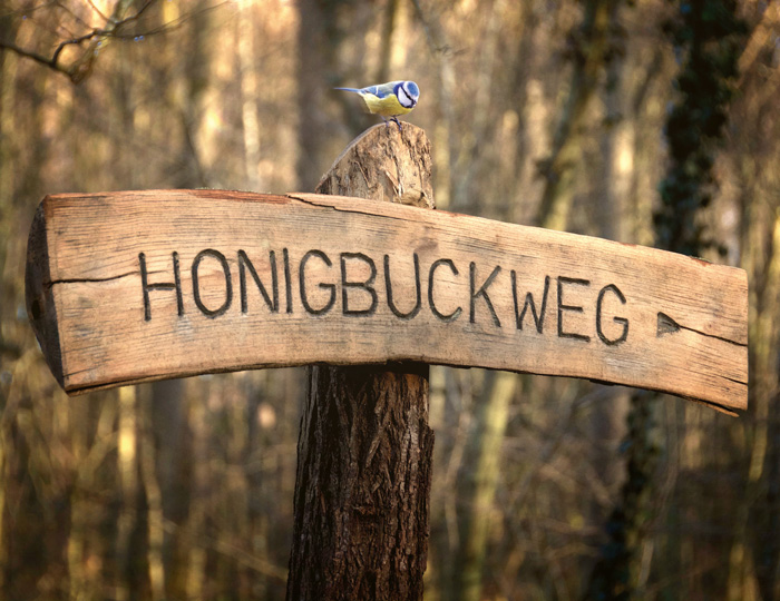 Schild-am-Honigbuckweg