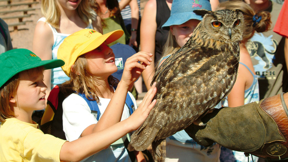Vogelpark Steinen