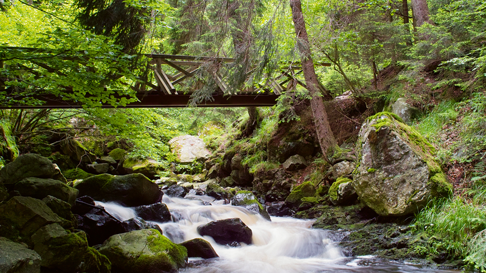 Wanderweg über Holzbrücke und Bach