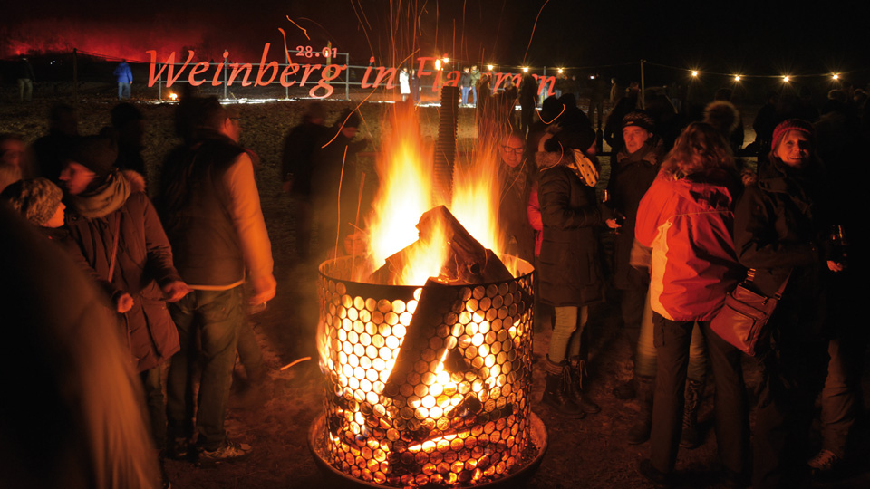 Menschen um Lagerfeuer auf einem Weinberg