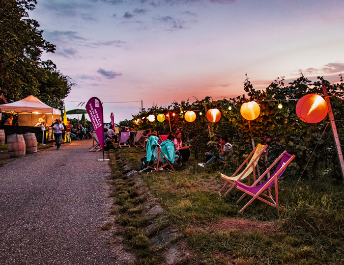 Weinsüden Pop-up Lauffen