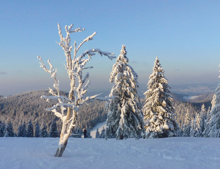 Winterlandschaft