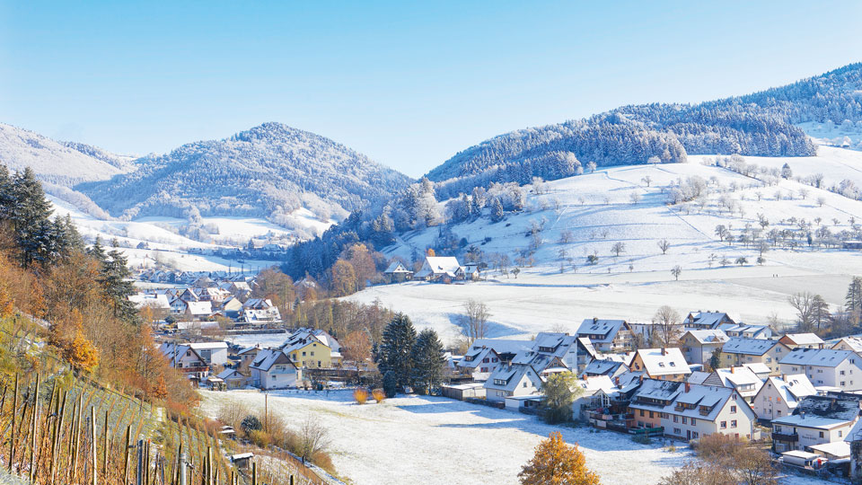 Auf dem Bild sieht man die Glottertäler Weinberge.