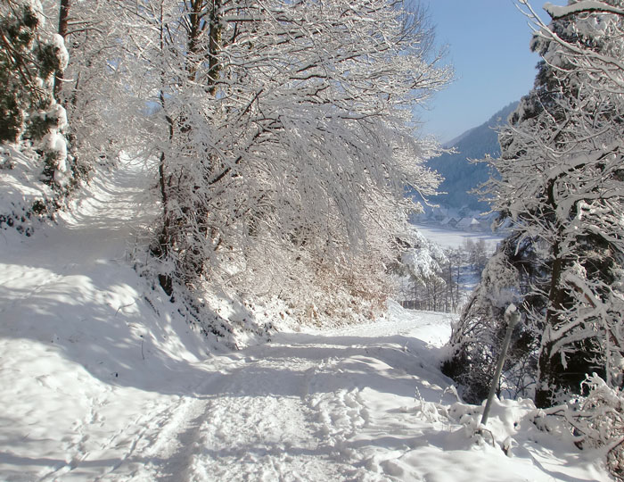 Das Bild zeigt einen verschneiten Wanderweg.
