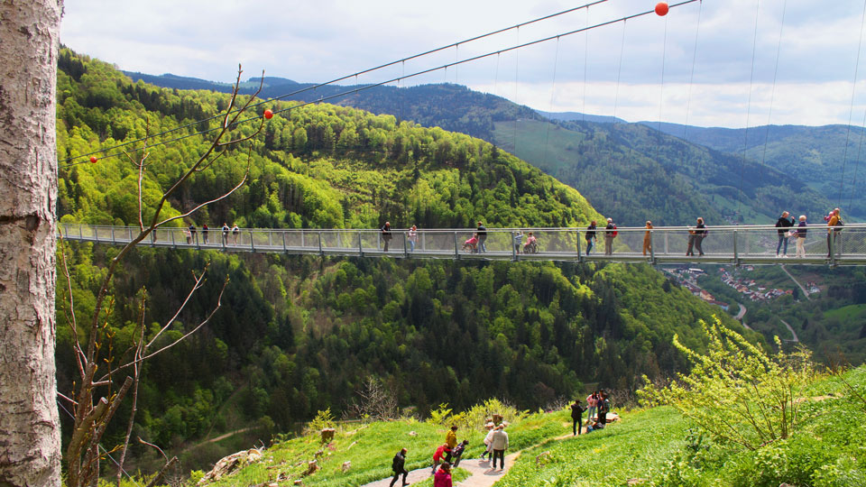 Ein Bild der Hängeseilbrücke Blackforestline.