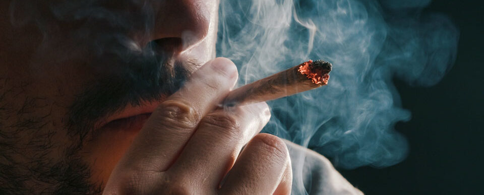 Steiniger Weg: Bis Cannabis-Clubs Gras anbauen, braucht es einen langen Atem.