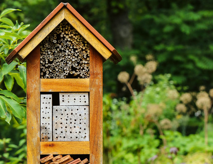 Schmales Insektenhotel mit Wald im Hintergrun