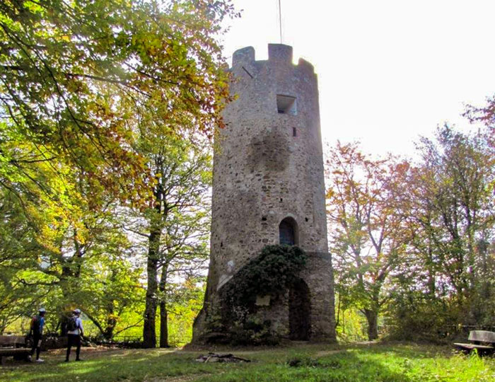 Ruine der Zähringer Burg