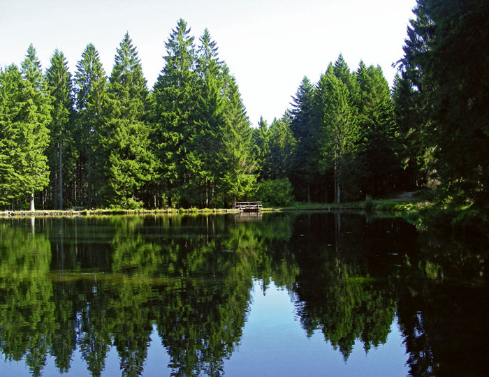 Sandsee im Nordschwarzwald